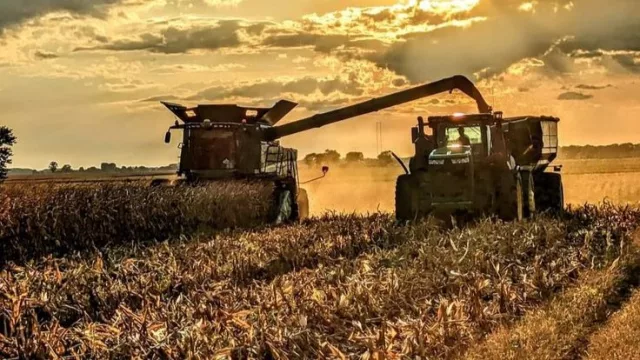 Perspectivas 2026: el escenario que enfrentan productores e inversores (inversiones, clima y competitividad productiva)