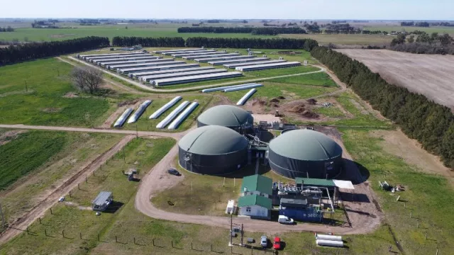 Una planta de biogás basada en efluentes porcinos genera electricidad y aporta a la lucha contra el cambio climático