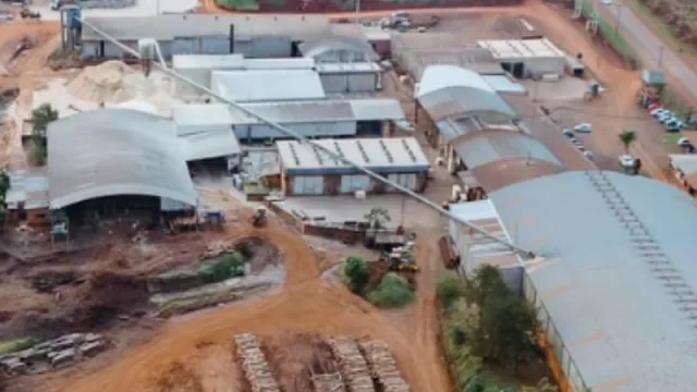 Toll Maderas obtiene sello FSC y abre puertas para exportar a mercados exigentes (sostenibilidad y competitividad forestoindustrial)