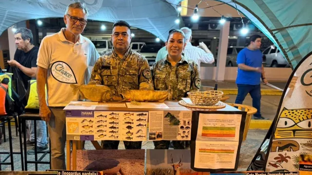 El turismo del río suma un nuevo espacio comercial para ampliar su alcance urbano