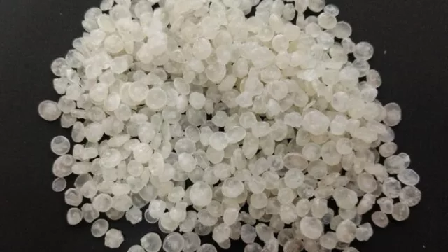 La mandioca ya no solo se come, también se industrializa: así es el proyecto del NEA que impulsa bioplásticos (y valor agregado regional)