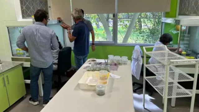 Biotecnología chaqueña llega al exterior: exportarán plantines de manzana y conocimiento