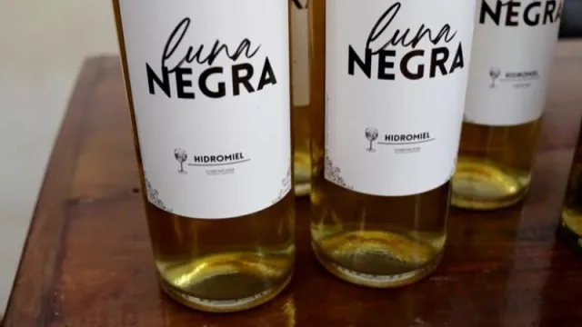 Sabores del monte en botella: bebidas artesanales hechas con frutas misioneras (tendencia de consumo regional)