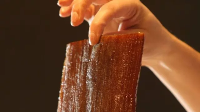 Un producto único de la selva misionera gana lugar en la gastronomía (se trata de la madera comestible de yacaratiá)