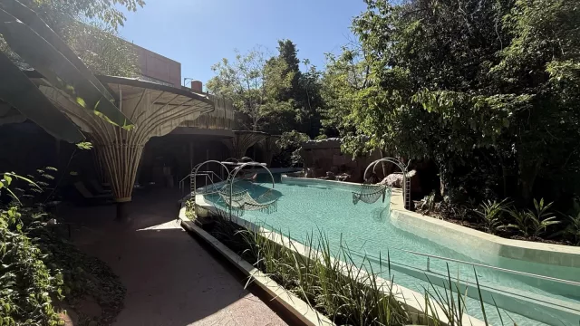 Iguazú suma hotelería premium: inauguran “Entre Árboles”, una propuesta para dormir en la selva