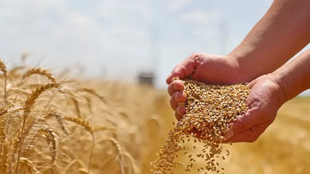 El agro aportaría más de US$ 34.500 millones en 2026 (según proyecciones de la Bolsa de Comercio)