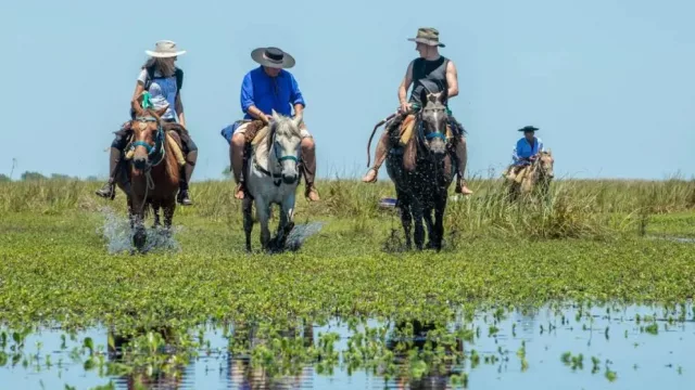 Iberá busca posicionarse a nivel global (turismo de naturaleza y desarrollo)