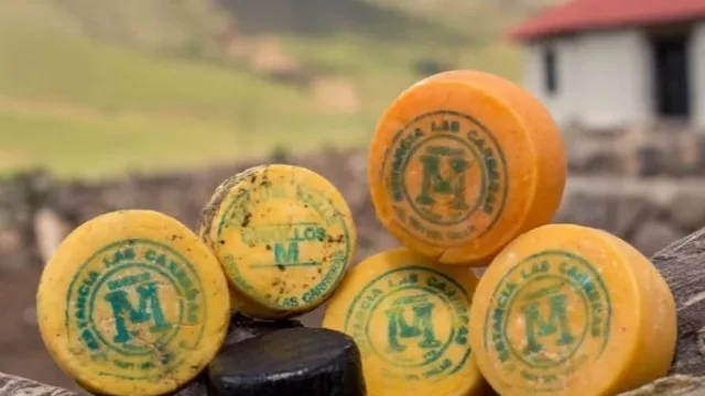 ¡Se nos infla el pecho! Tafí del Valle logra el primer queso argentino con Indicación Geográfica