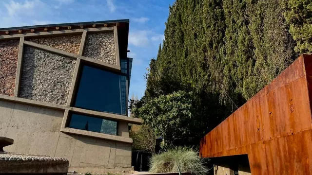 La aceitera mendocina "Corazón de Lunlunta" lanza al mercado su línea de vinos