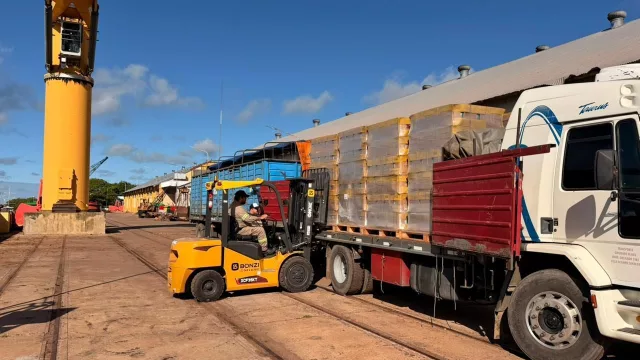 El puerto de Barranqueras suma nuevos envíos de girasol (movimiento logístico y actividad exportadora)