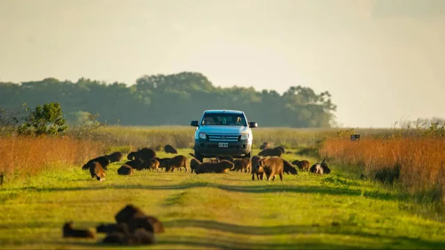 Turismo como estrategia: Corrientes busca posicionarse en mercados internacionales (promoción y negocios en Brasil)