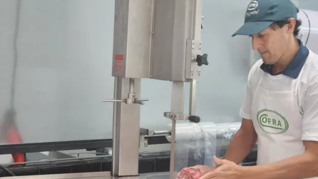 ¡El cerdo gana lugar! Cofra proyecta crecer con genética y volumen (más producción y nueva estrategia comercial)