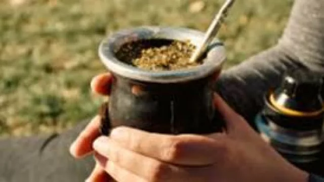 La yerba mate y el desafío de transformar una tradición en industria global (valor, marca y nuevos mercados)