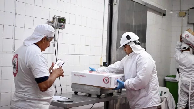 Chaco concretó su primera exportación de carne ovina a Omán (14 toneladas salieron desde Pampa del Infierno)