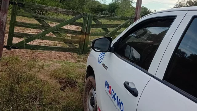La provincia refuerza la asistencia a productores del norte chaqueño (forraje, sanidad animal y apoyo rural)