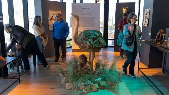 ArteCo vivió su jornada más convocante y entregó los premios de su octava edición