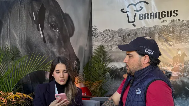 La nueva generación que impulsa el futuro ganadero desde Corrientes (el crecimiento de Jóvenes Brangus)