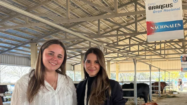Mejor genética y financiamiento: los desafíos que hoy atraviesa la ganadería (la mirada de una criadora Brangus)