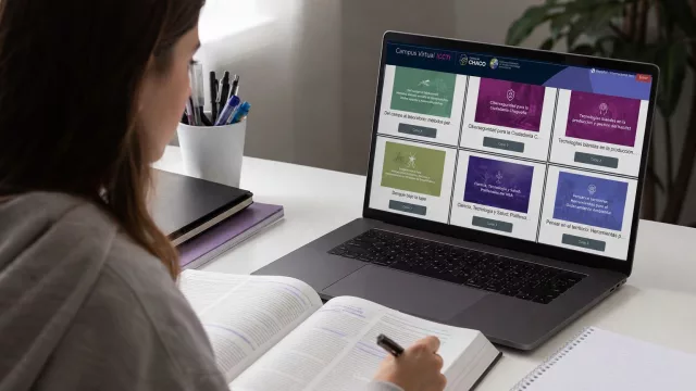 La capacitación online gana terreno en el Chaco (el Campus Virtual del ICCTI superó los 3.000 alumnos)