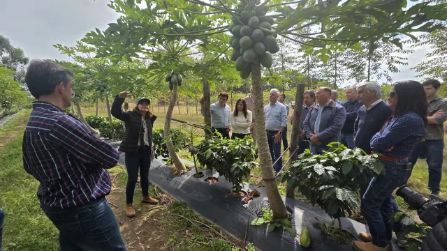 ¿Puede Corrientes producir café? El ensayo que busca abrir una nueva frontera productiva en el Litoral