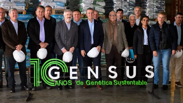 El algodón busca recuperar protagonismo con una nueva genética desarrollada en Chaco (más rendimiento y calidad)