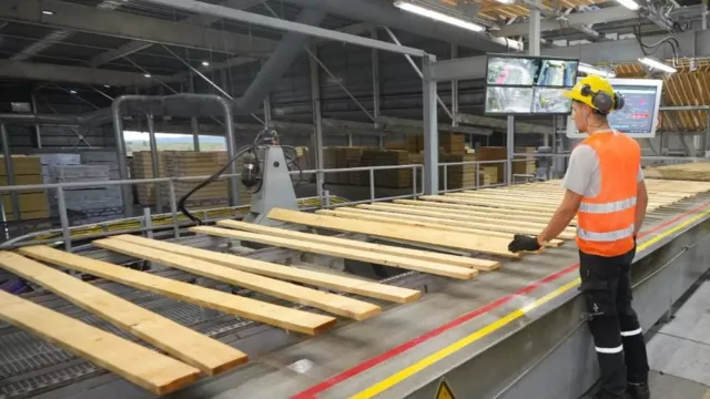 Austria pone la mira en Corrientes (madera, puertos y ferrocarriles en agenda)
