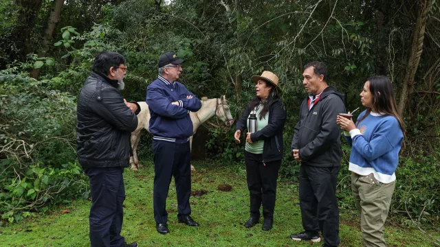 El turismo rural gana espacio en Misiones (apuestan a experiencias que combinan naturaleza, producción y gastronomía)