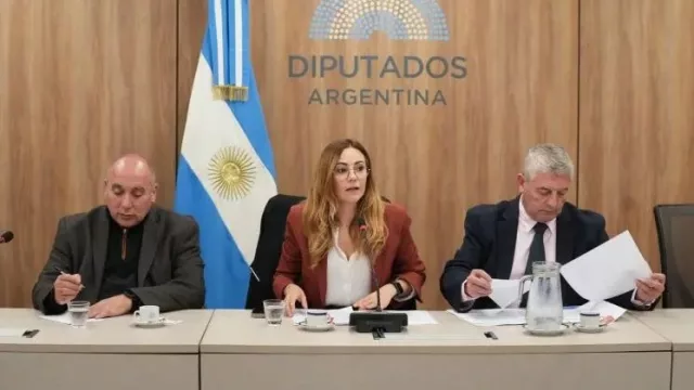 Especialistas impulsan cambios al Código de Minería para acelerar el desarrollo de tierras raras en Argentina